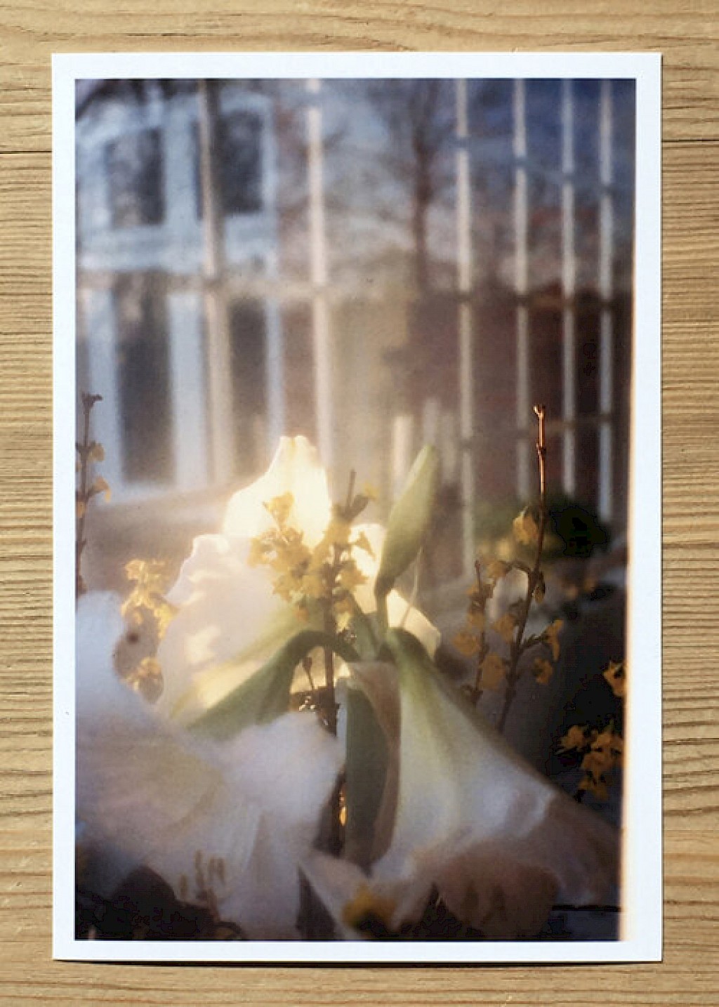 Journal image by Kasper Palsnov