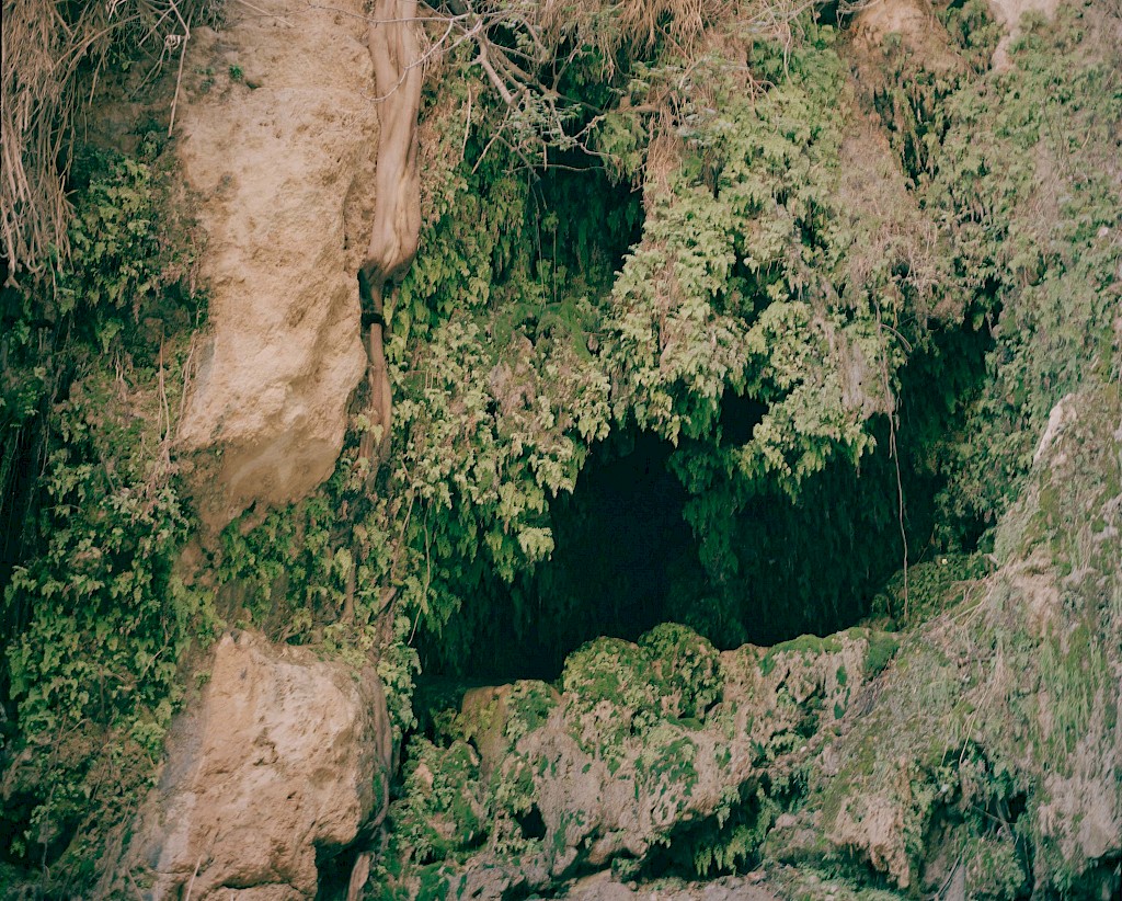 Image by Kasper Palsnov
