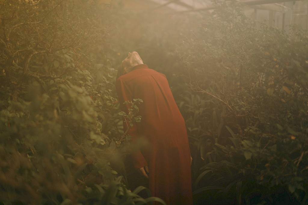 Image by Kasper Palsnov