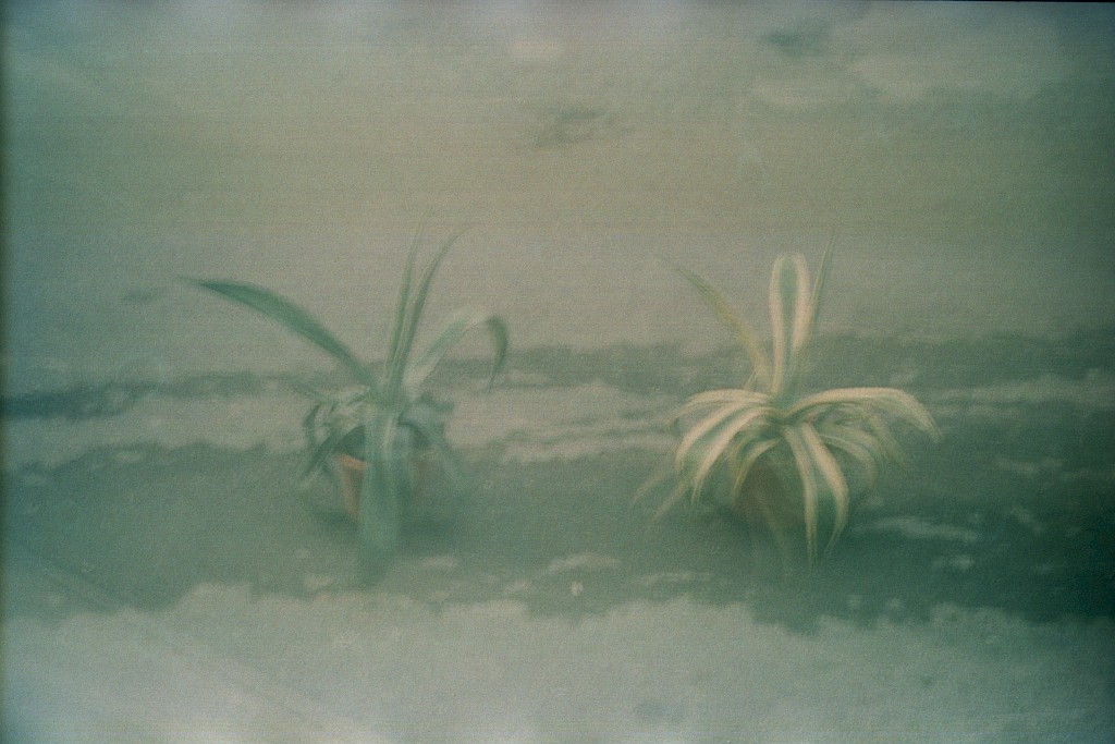 Journal image by Kasper Palsnov