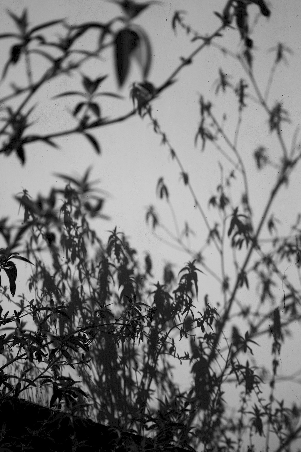 Journal image by Kasper Palsnov