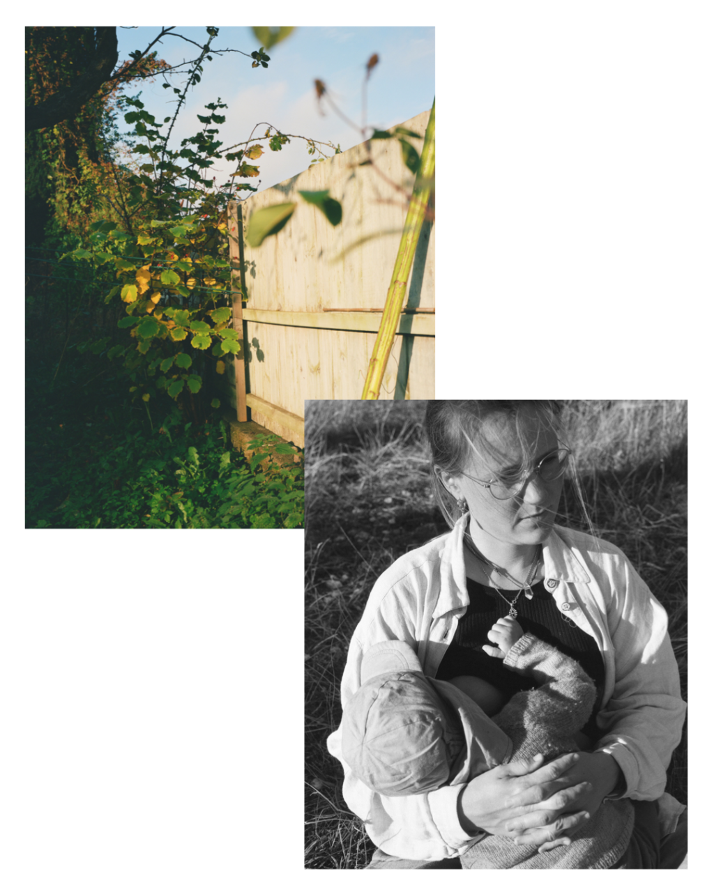 Journal image by Kasper Palsnov