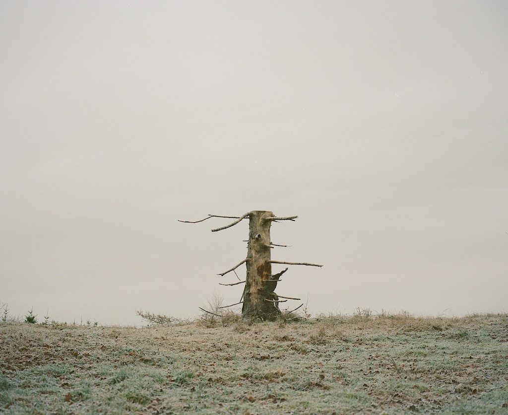 Journal image by Kasper Palsnov
