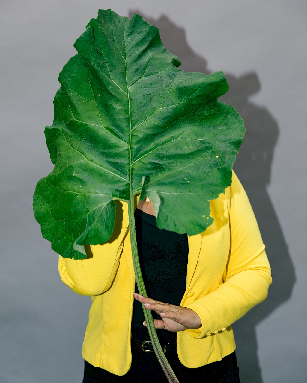Journal image by Kasper Palsnov