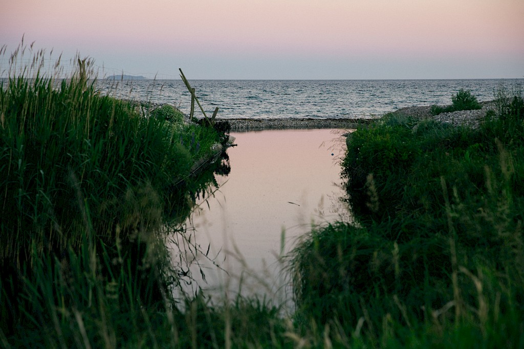 Journal image by Kasper Palsnov