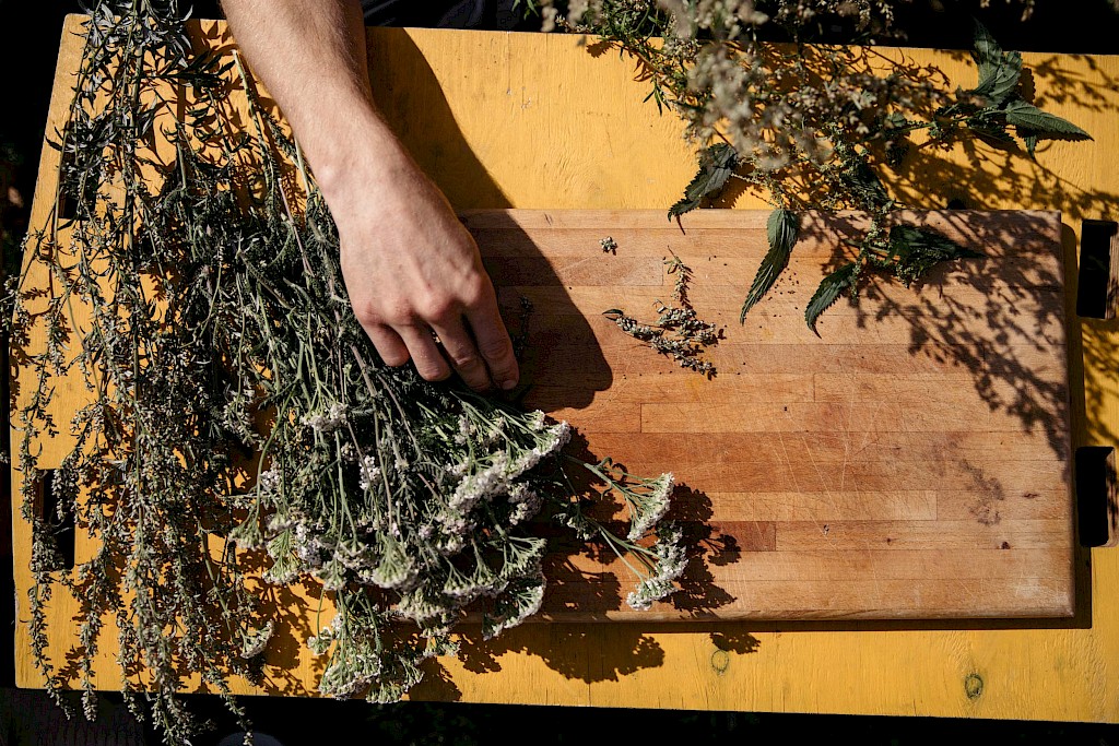 Journal image by Kasper Palsnov
