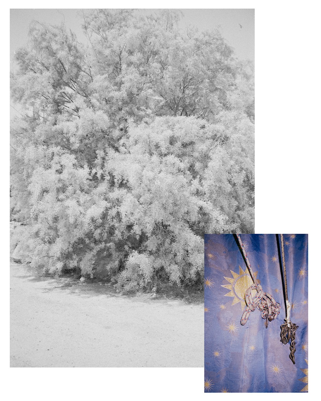 Journal image by Kasper Palsnov
