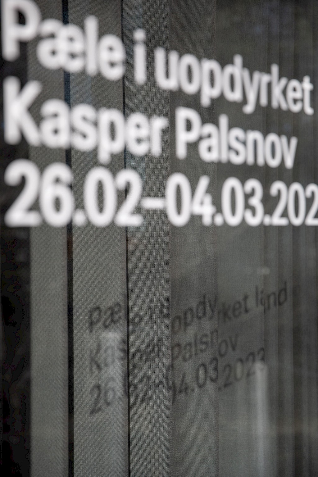 Journal image by Kasper Palsnov