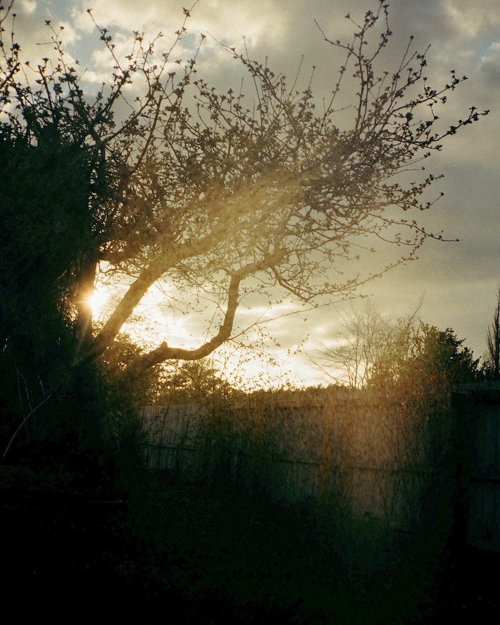 Journal image by Kasper Palsnov