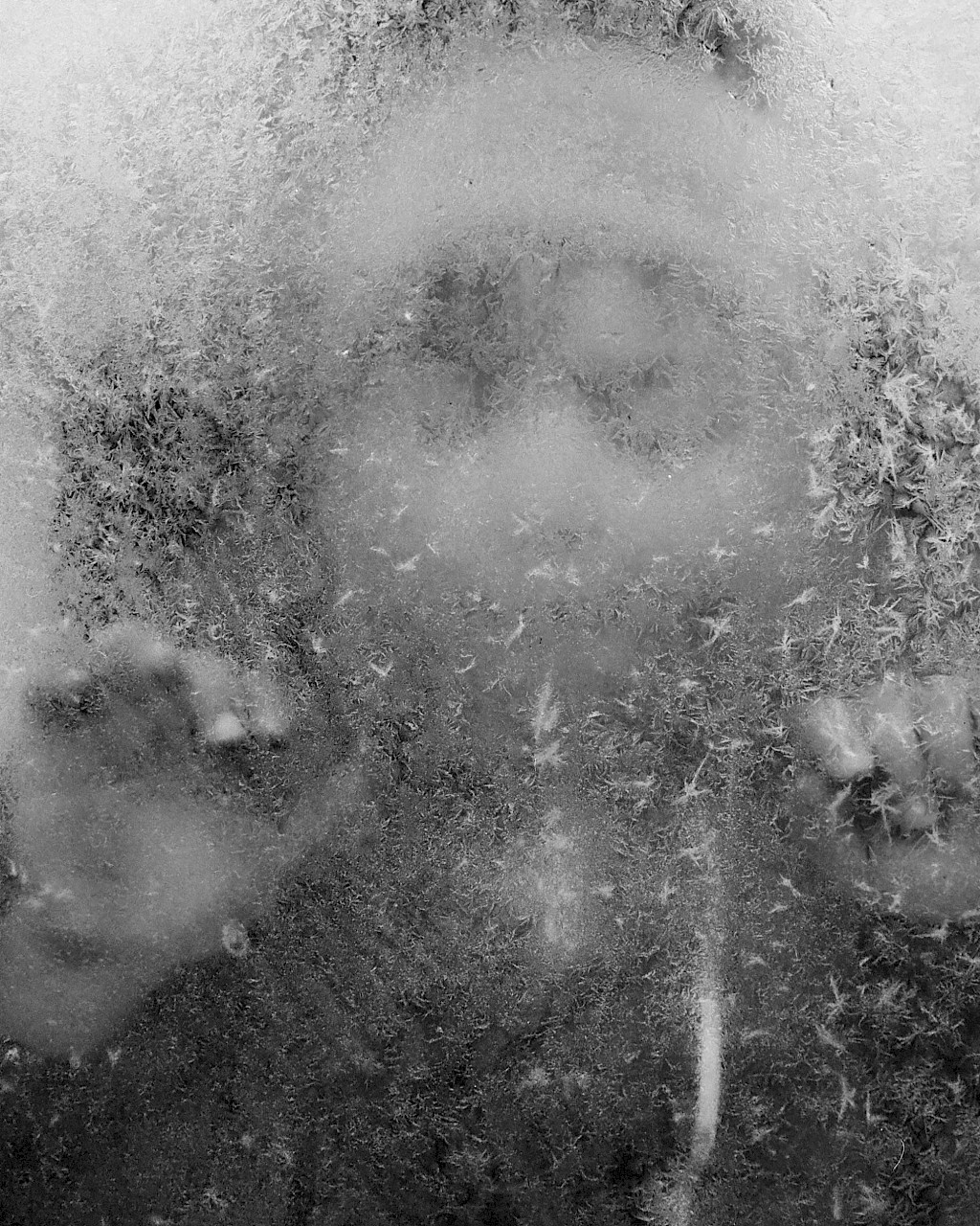 Journal image by Kasper Palsnov