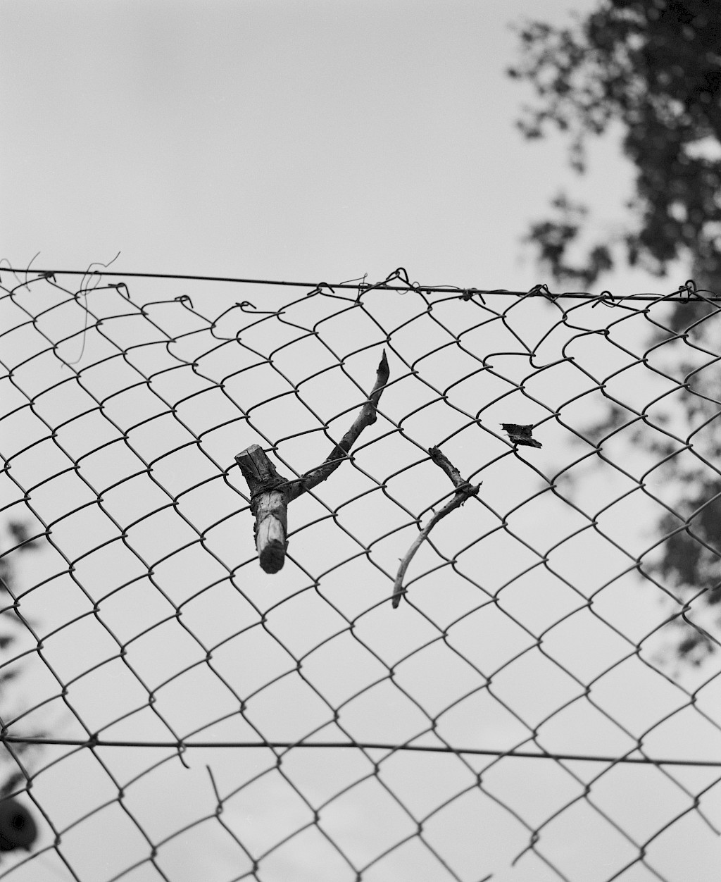 Image by Kasper Palsnov