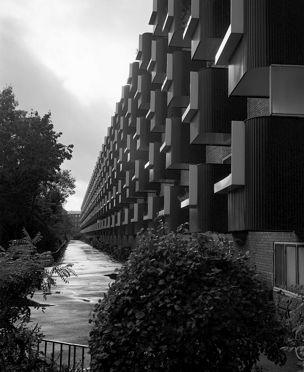 Image by Kasper Palsnov