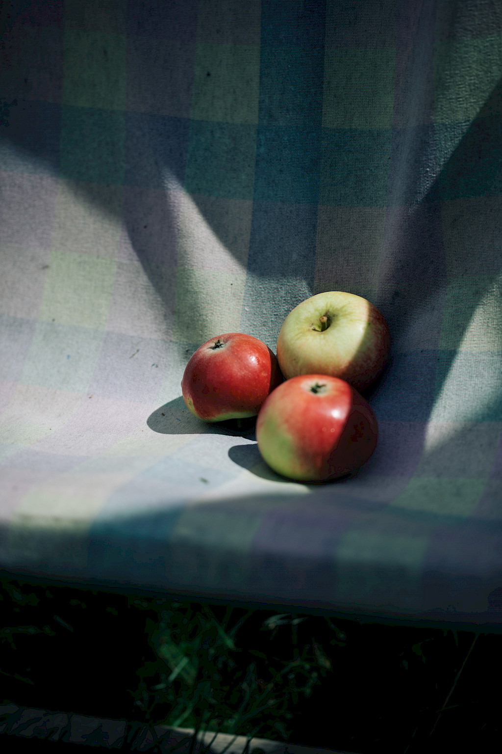 Journal image by Kasper Palsnov