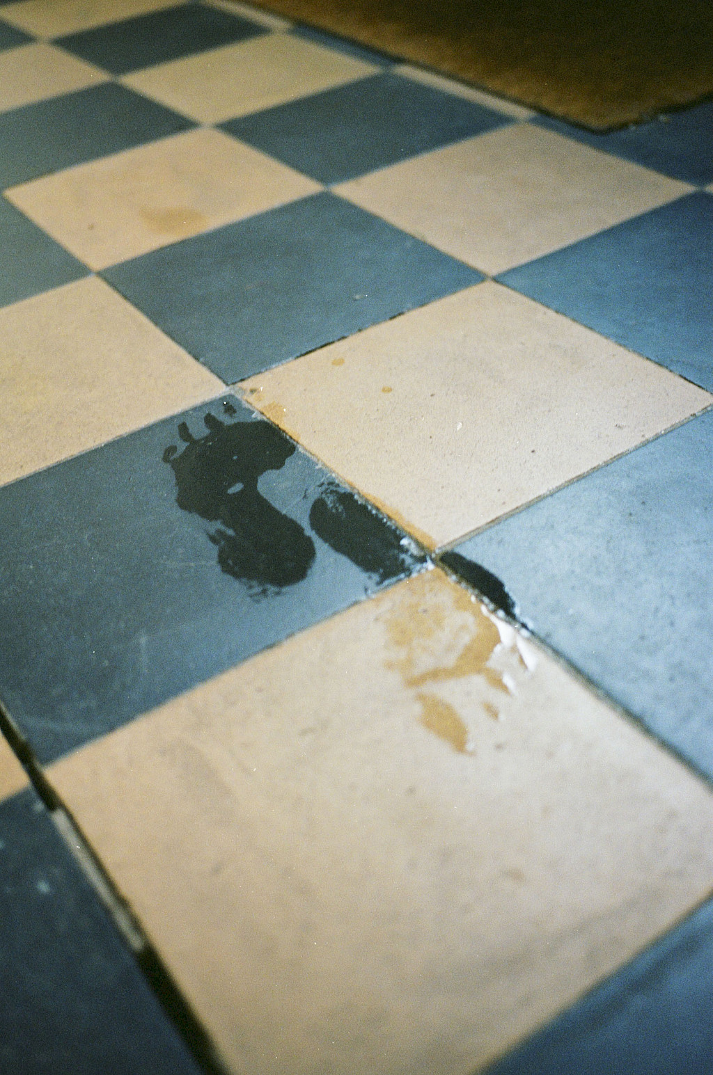 Journal image by Kasper Palsnov