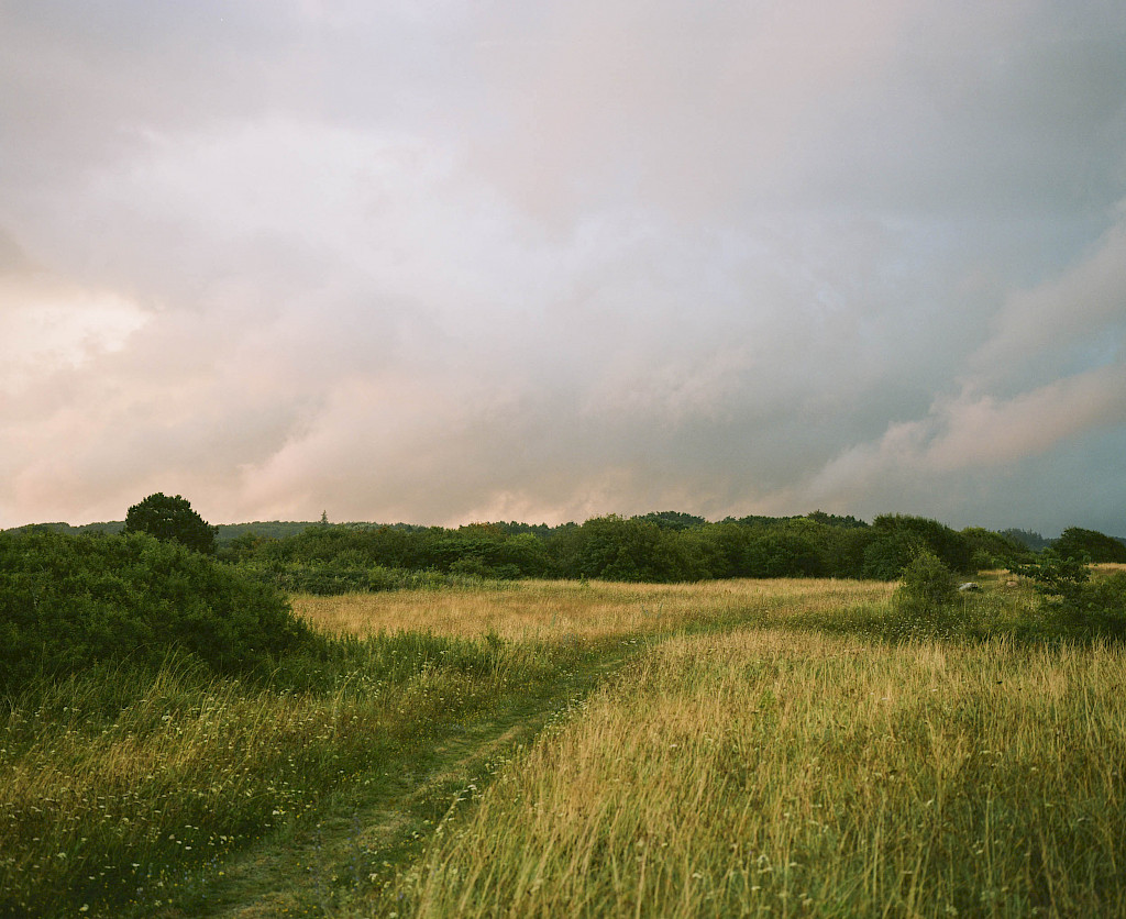 Journal image by Kasper Palsnov